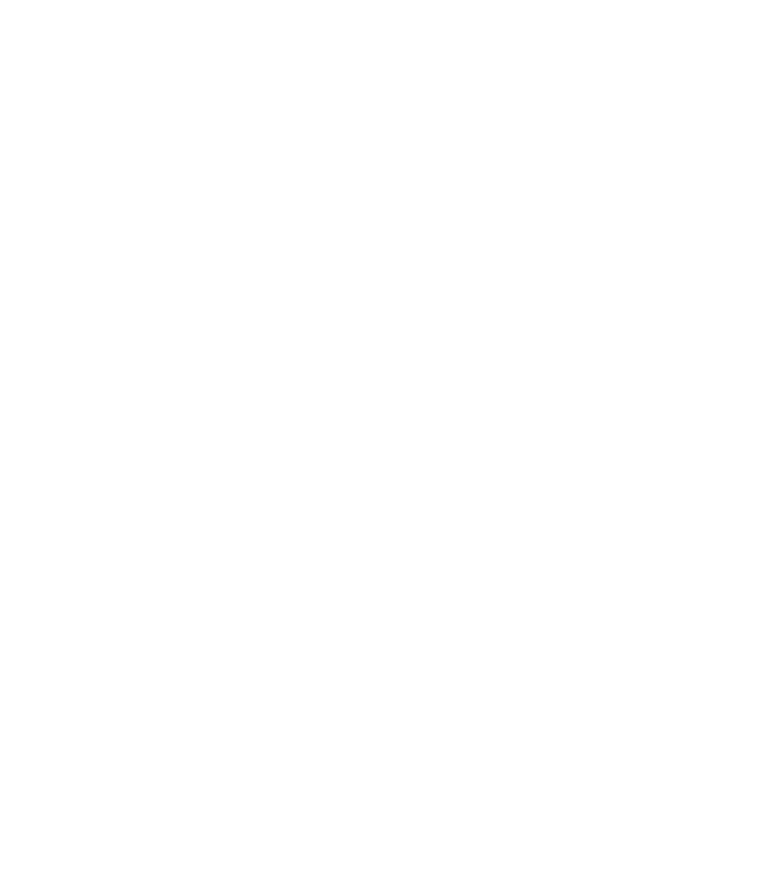 logo_if